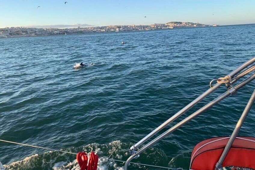 Private Sailing Tour in Lisbon with Water Activity