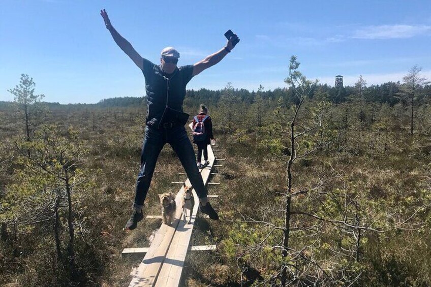 A leisurely stroll at peat bog