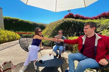 Champagne Picnic & Tasting. Private Tour from Paris + Gift