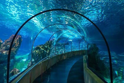 Discover Barcelona Aquarium and Culture