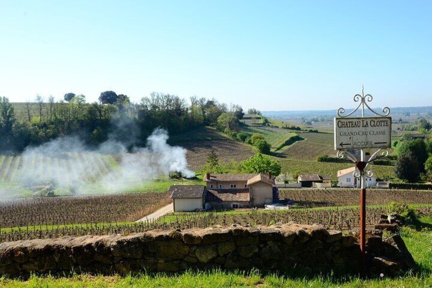 "Explore Saint-Émilion on e-Bikes: Small Group, Full-Day Tour"