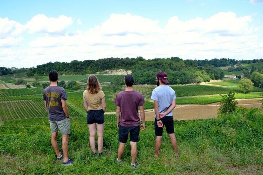 "Explore Saint-Émilion on e-Bikes: Small Group, Full-Day Tour"