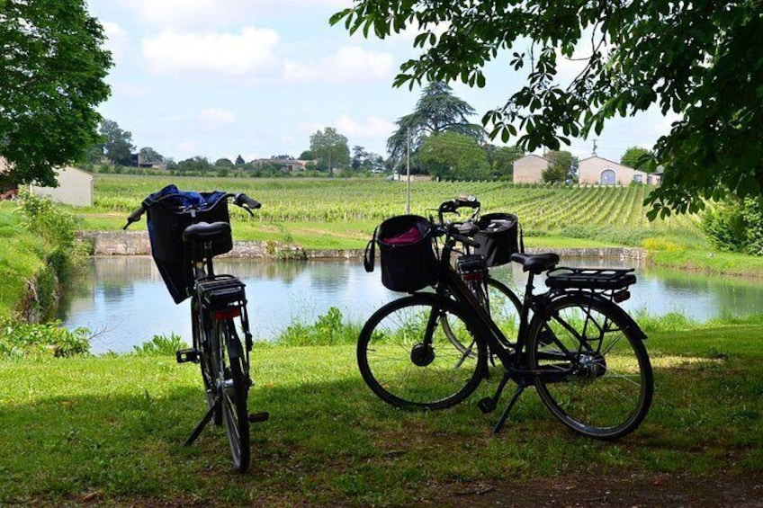 Excursion of Saint-Emilion by bike.