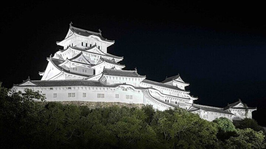 Himeji Castle Guided History Drive Tour