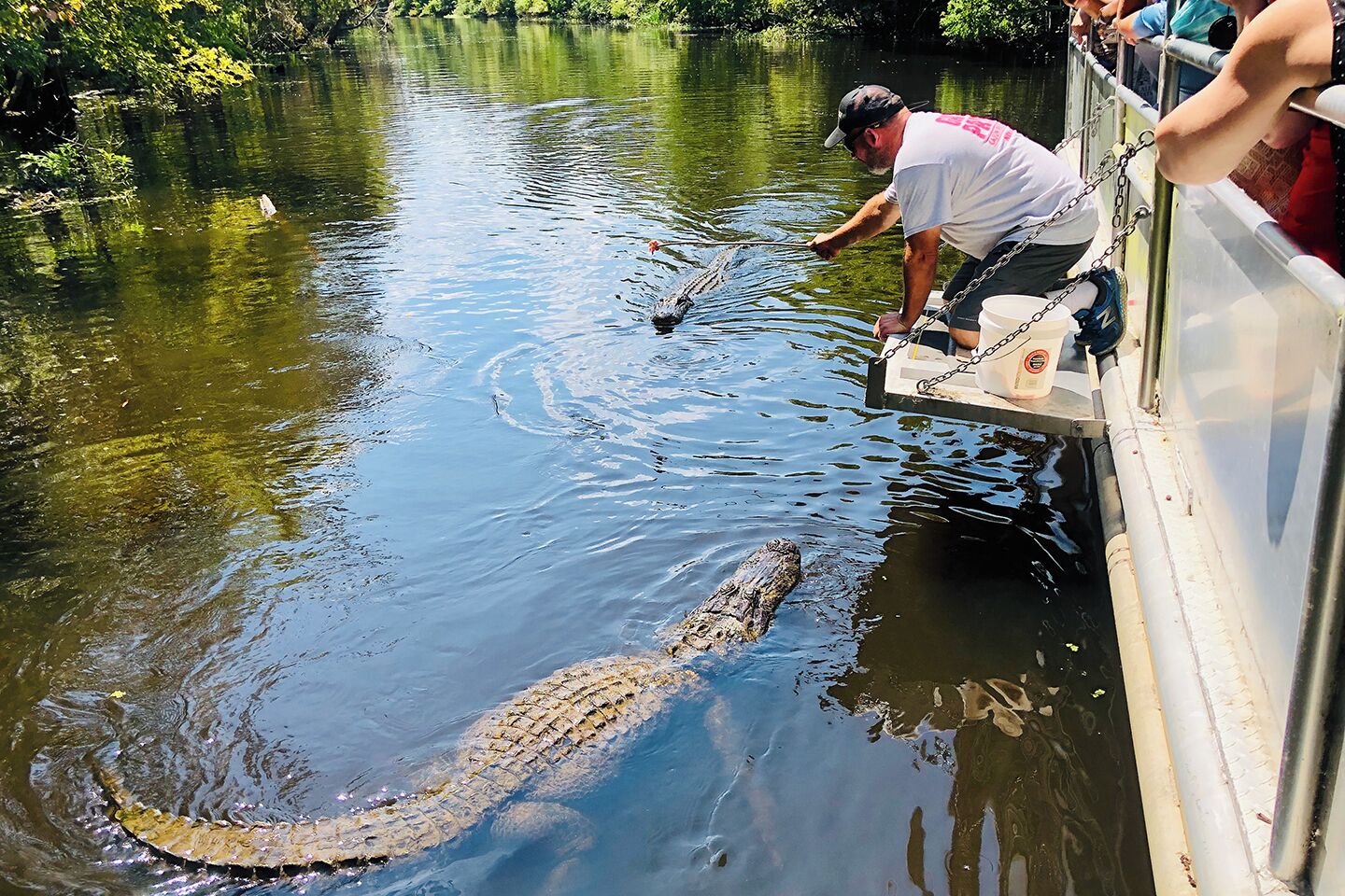 Whitney Plantation & Swamp Tour from New Orleans