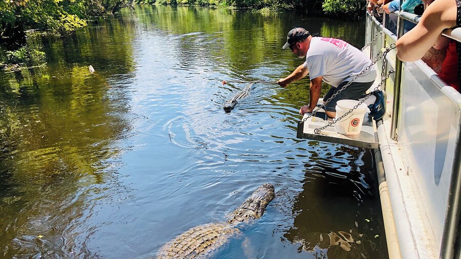 Whitney Plantation & Swamp Tour from New Orleans