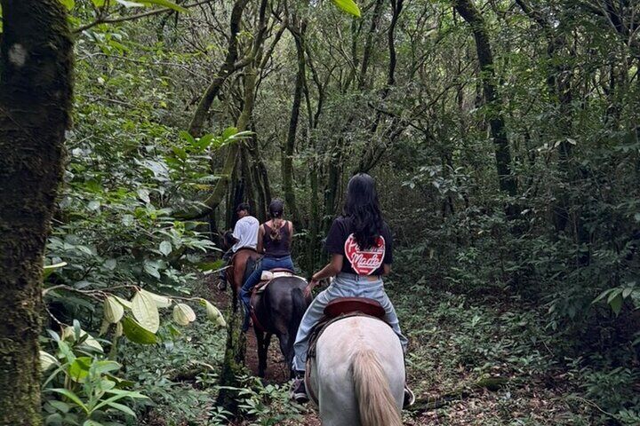 Horseback Riding Adventure in Boquete’s Cloud Forest