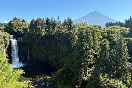 Shizuoka Area: Mt. Fuji Cultural Experience Private Tour