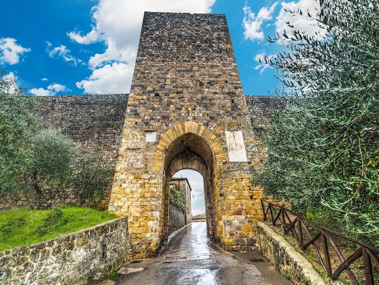 Chianti Half Day Wine Tour from Florence