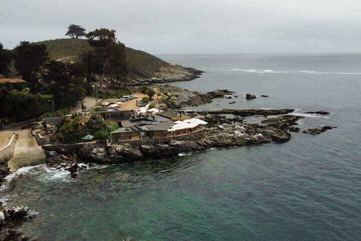 Zapallar and Papudo Tour with Penguins and Horseback Riding