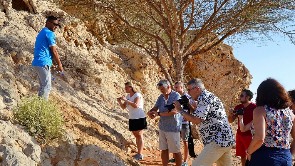 Show item 1 of 10. Fossil & Red Dunes Camel Rock Safari with BBQ & Sunset Camel