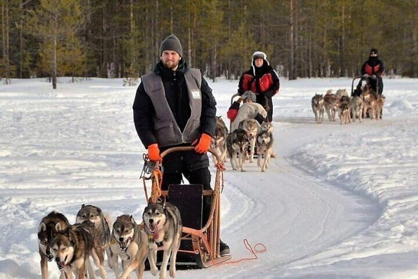 5KM Husky Sled Ride from Levi