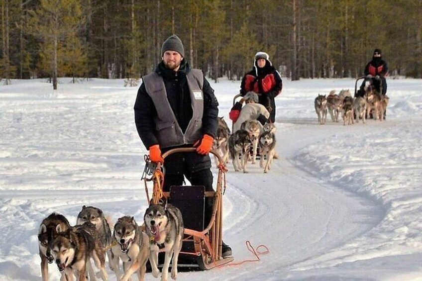 5KM Husky Sled Ride from Levi