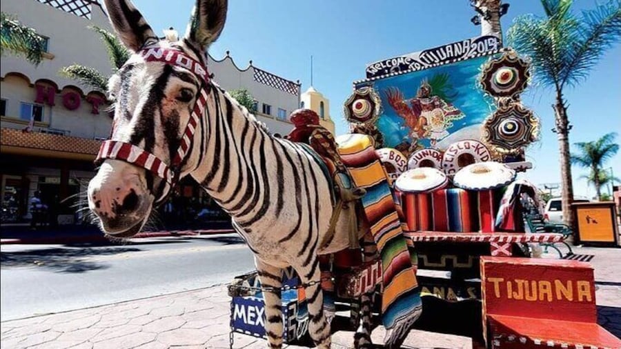 Private Full-Day Guided Tour of Tijuana