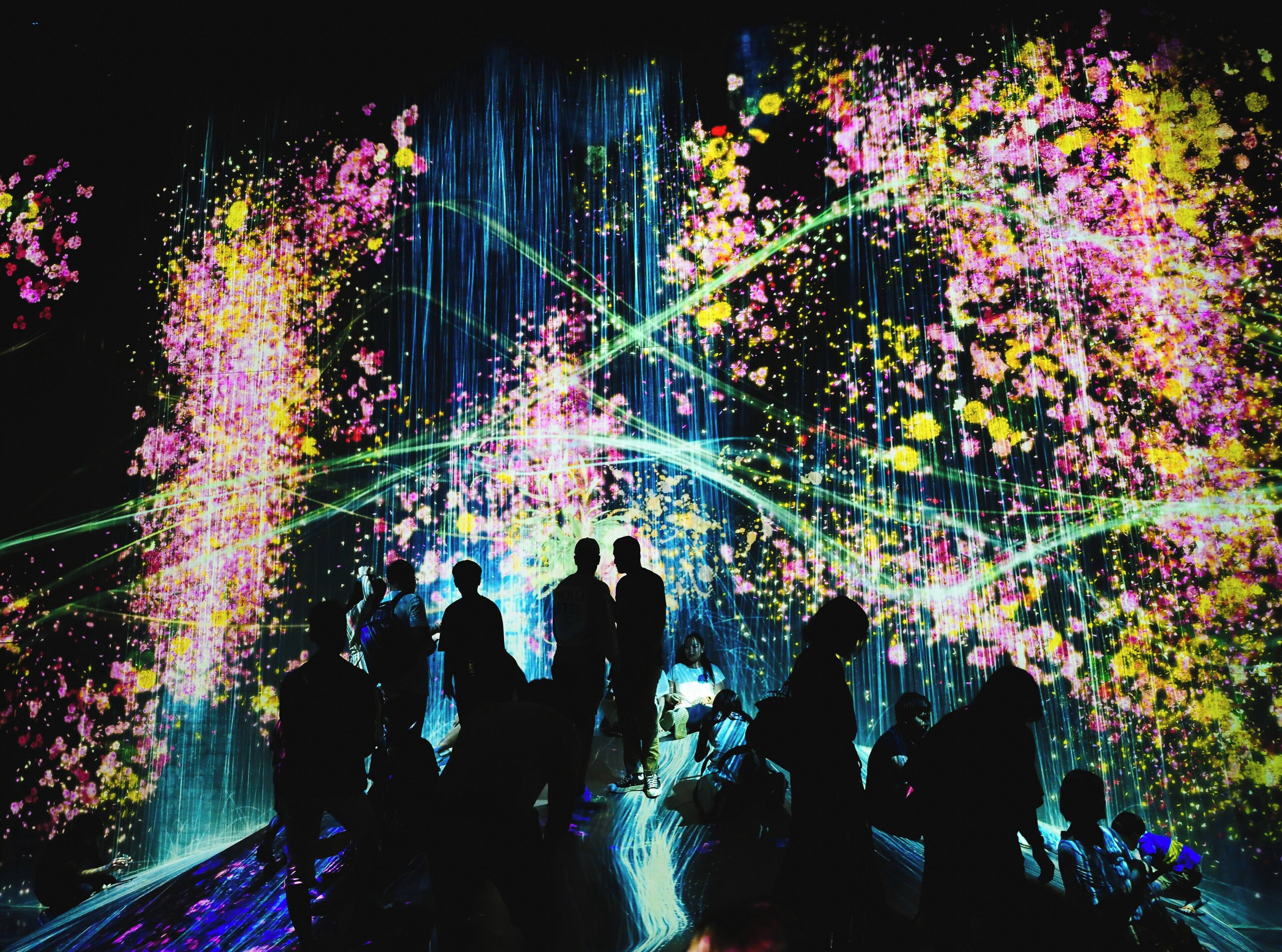 Walking Tour of Kyoto with TeamLab Admission