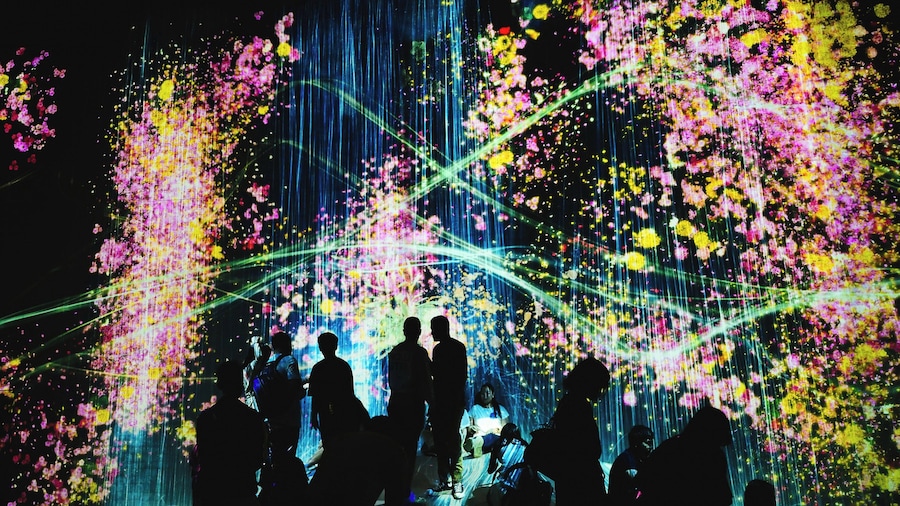 Walking Tour of Kyoto with TeamLab Admission