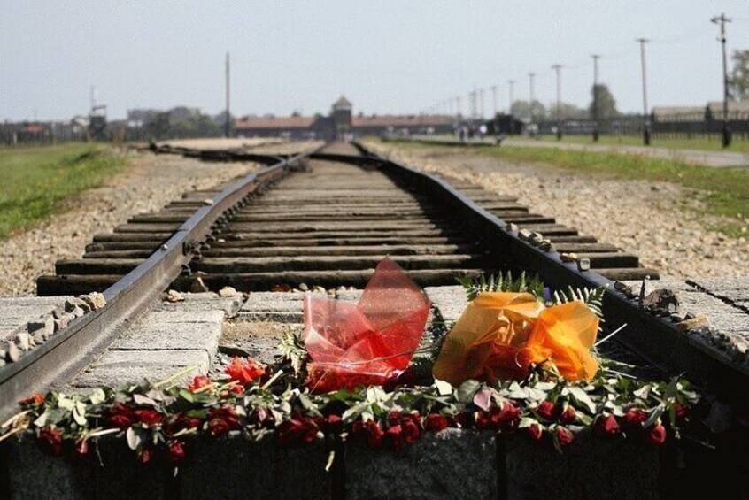 Private Auschwitz-Birkenau and Salt Mine Tour from Krakow