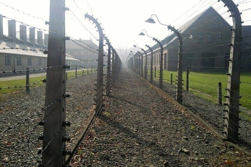 Private Auschwitz-Birkenau and Salt Mine Tour from Krakow