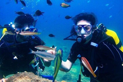 Marsa Mubarak 2 Intro Dive, Snorkeling Boat Trip :Marsa Alam