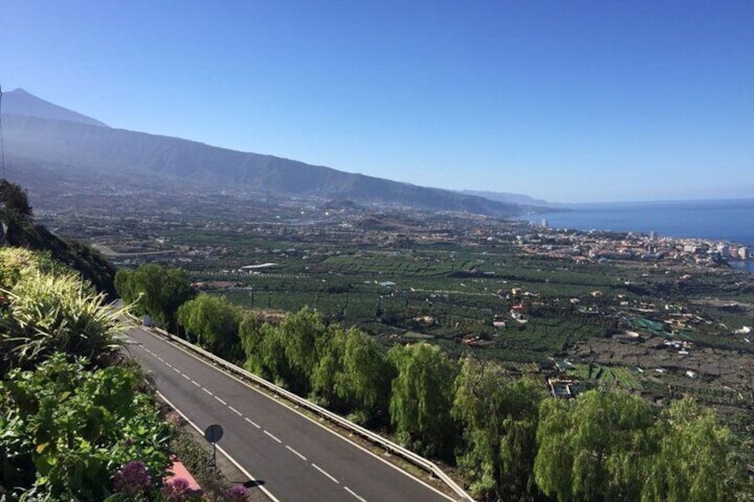 Day Tour with Official Guide Around the Island of Tenerife