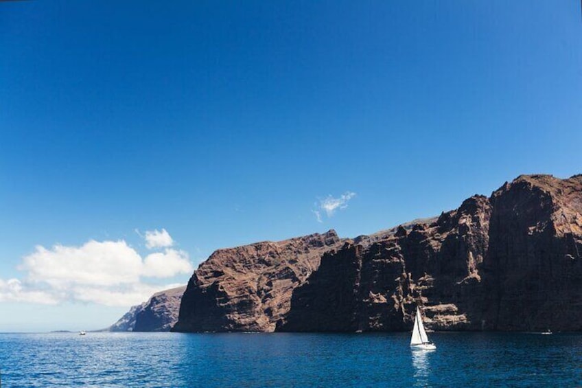 Day Tour with Official Guide Around the Island of Tenerife