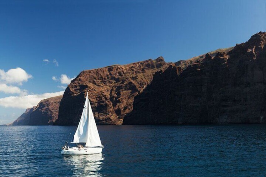 Day Tour with Official Guide Around the Island of Tenerife