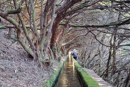 Hiking and Sightseeing in Paradise Island Private Tour