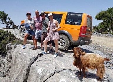 Crete: Full-Day Private Tour