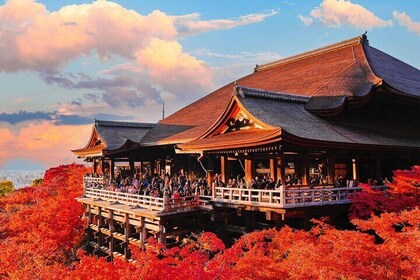 Private Kyoto Nara Private Tour from Osaka