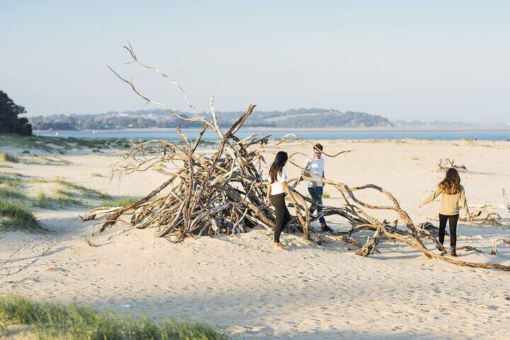 Driftwood along Inverloch’s sandy coastline.