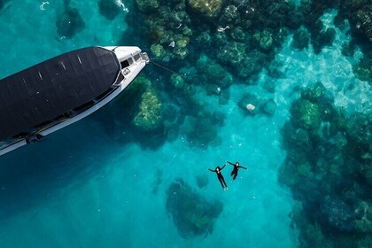 Great Barrier Reef Snorkelling Adventure