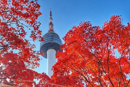 Seoul City Pass Deluxe Top Attractions, Nature and Experiences