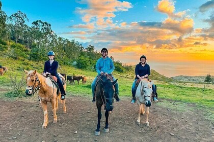 Sunset Mountain Vista Horseback Trail Ride on Oahu