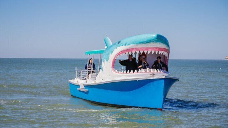 1-hour Dolphin Sightseeing Adventure Cruise from Madeira Beach
