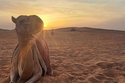 Private Morning Safari Ras Al Khaimah