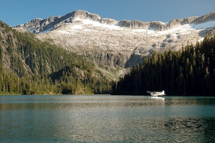 Alpine Lake Flightseeing Experience from Squamish