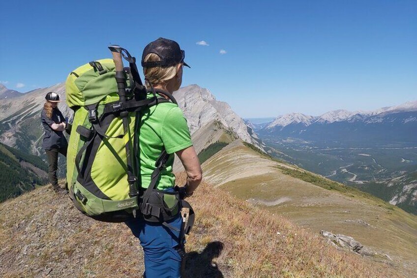 Taking in the views