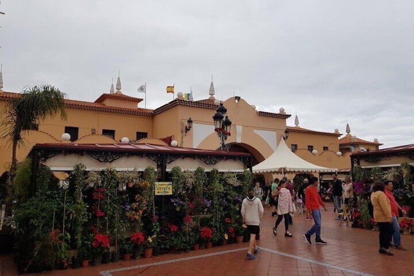 Full Day Tour of Santa Cruz and San Cristóbal de La Laguna