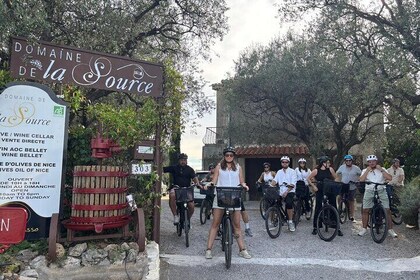 E-bike Tour of the Bellet Vineyards from Nice