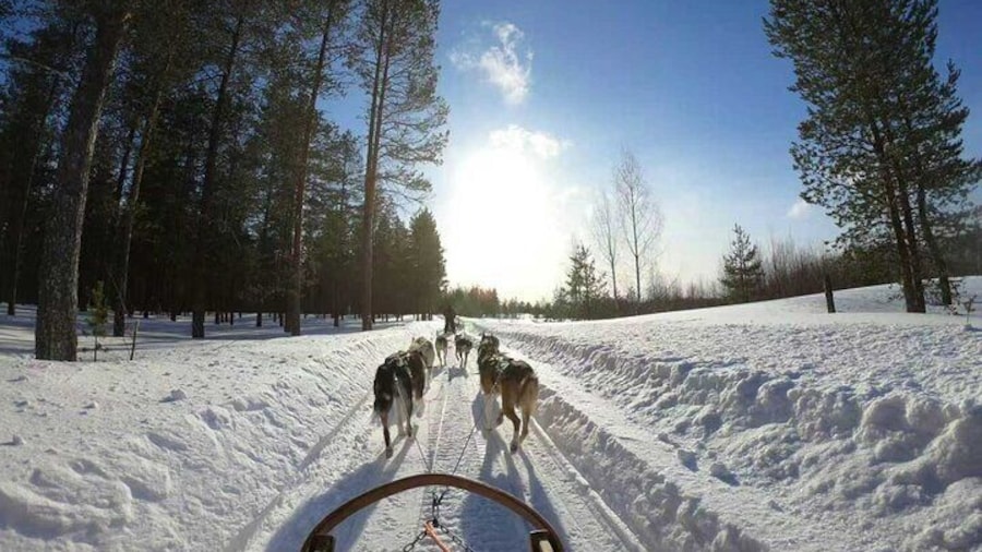 Mont Tremblant Winter Day Trip from Montreal