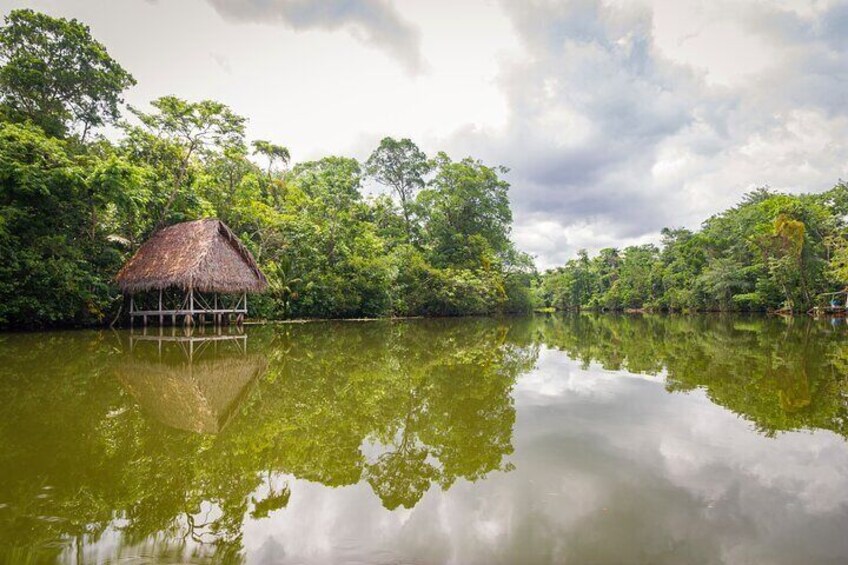 3-Day Jungle and Amazon River Tour from Iquitos