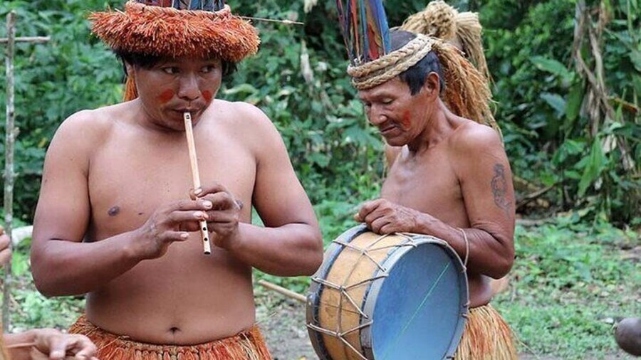 3-Day Jungle and Amazon River Tour from Iquitos