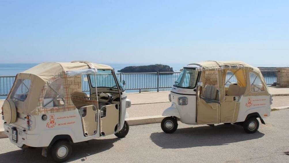 Polignano a Mare Carriage Tour