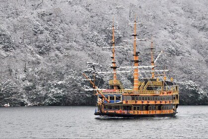 Hakone and Mt Fuji Private Custom Tour with English Guide