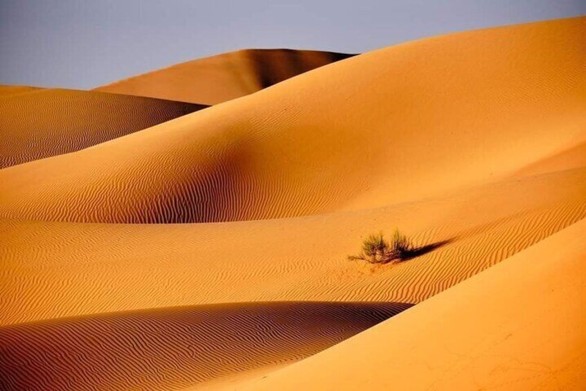 Private 2 Days 1 Night Wahiba Sands Desert and Wadi Bani Khalid Tour