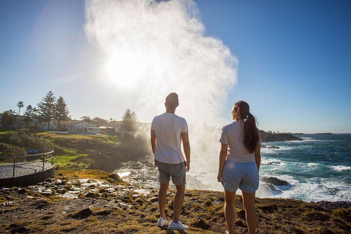 Jervis Bay Full Day Tour Dolphin Cruise and Kiama Blowhole