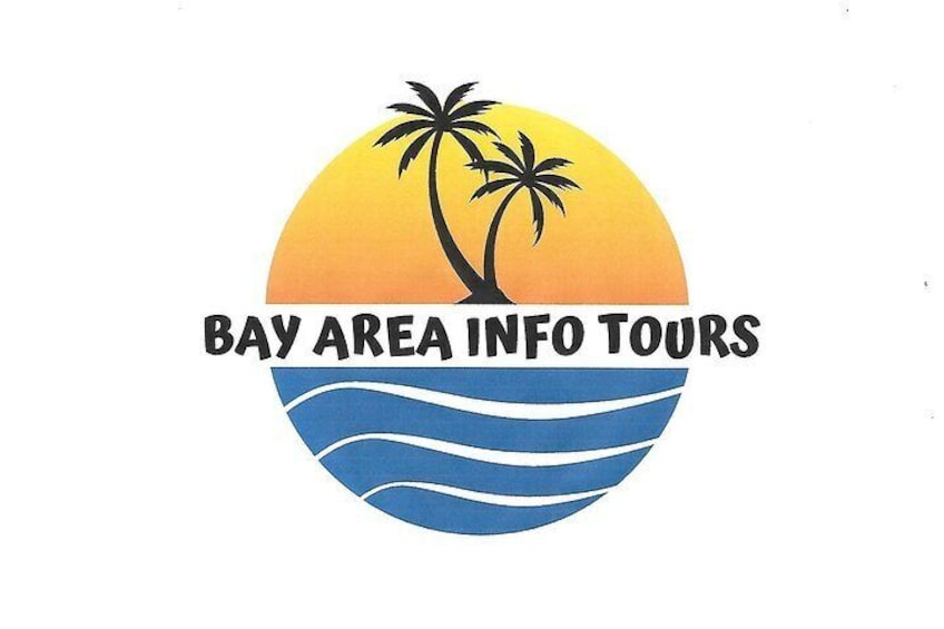Bay Area Info Tours- Tours of Pinellas in a Luxury Mini Van