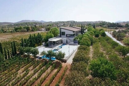 Private Wine Tour Athens Visit Experience