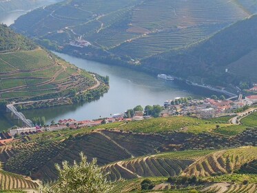 Douro Valley Private Tour with Wine Tasting from Porto