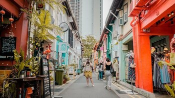 Private Custom Designed Singapore Cruise Excursion Day Tour